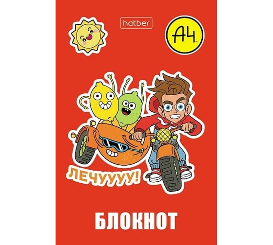 Изображение товара Блокнот Hatber Влад А4 48 л, А7, 65x100 мм, 3-х цветный блок клетка, обложка мелованная бумага, 100 шт в упаковке 082406