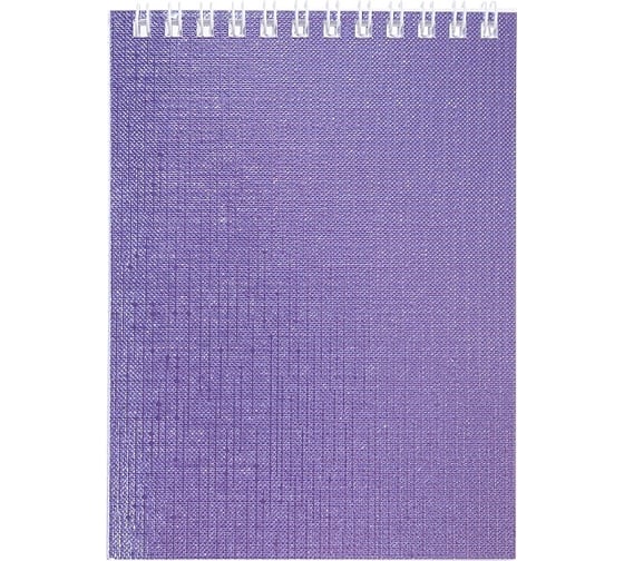 Изображение товара Блокнот Hatber METALLIC 40 л, А6, клетка, обложка бумвинил, фиолетовый, 6 шт в упаковке 066848