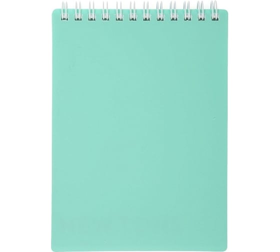 Изображение товара Блокнот Hatber Premium NEWtone PASTEL МЯТА 80 л, А6, клетка, бумага офсетная, 80 г/кв.м, запечатанный титульный лист, 48 шт в упаковке 061931
