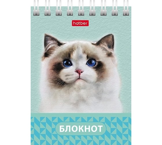 Изображение товара Блокнот Hatber Глазки, ушки, носик 40 л, А7, клетка, 65 г/кв.м, обложка мелованный картон, 120 шт в упаковке 081186