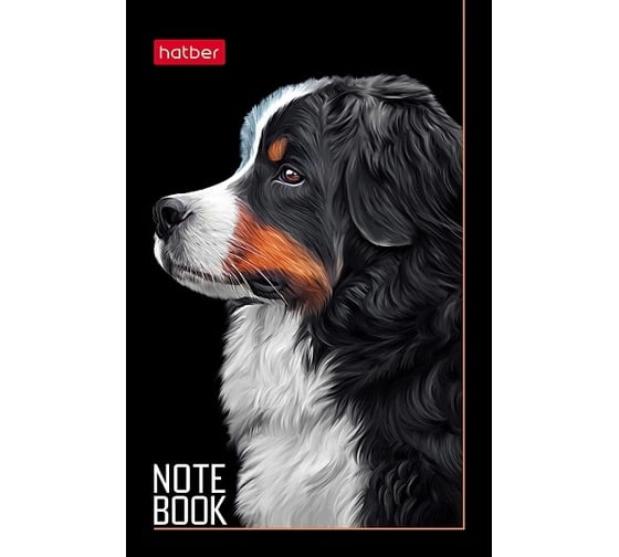 Изображение товара Блокнот Hatber Портрет лучшего друга 48 л, А7, 65x100 мм, 3-х цветный блок клетка, обложка мелованная бумага, 100 шт в упаковке 078599