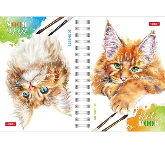 Изображение товара Записная книжка Hatber 80л А6 2х цветная клетка с твердой обложкой двойная глянцевая ламинация Рыжий котик, 32шт. 082838