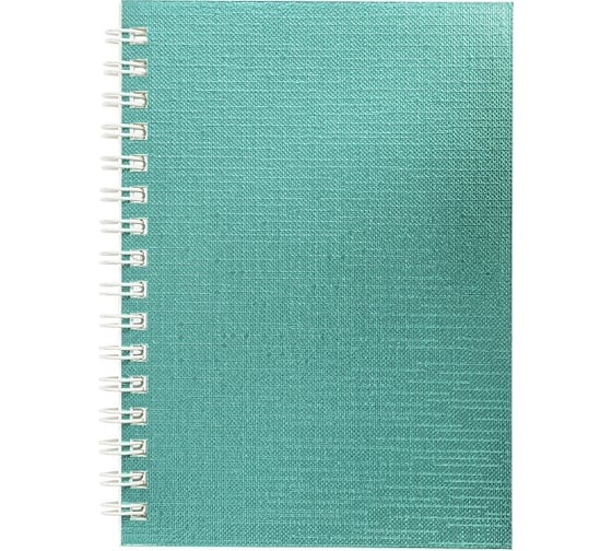 Изображение товара Записная книжка Hatber 80л А6 клетка Бумвинил METALLIC МЯТА, 120шт. 066838