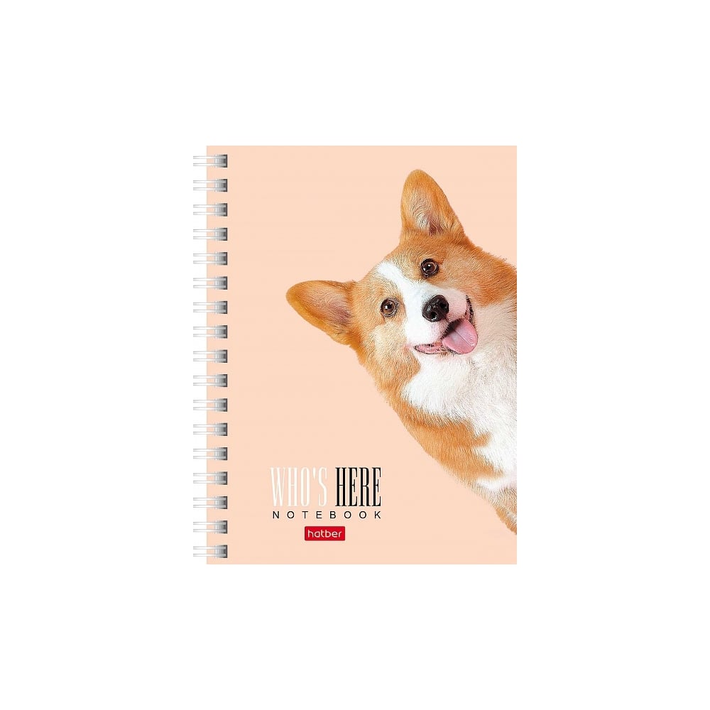 Изображение товара Записная книжка Hatber А6 клетка 80 листов серия Кто здесь?