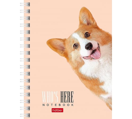 Изображение товара Записная книжка Hatber 80л А6 клетка серия Кто здесь?, 6шт. 066350