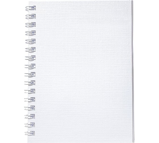Изображение товара Записная книжка Hatber 80л А6 клетка Бумвинил METALLIC Белая, 120шт. 066842