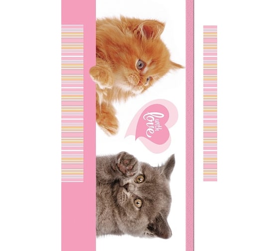 Изображение товара Записная книжка Hatber 8050л А6 с твердой обложкой с клапаном на резинке на гребнеКотята, 28шт. 059084