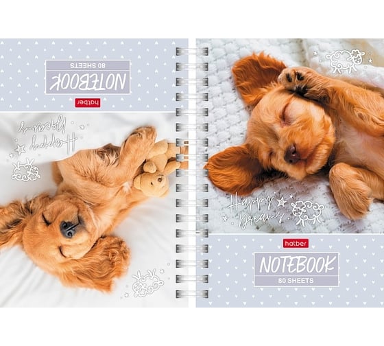 Изображение товара Записная книжка Hatber 80л А6 2х цветная клетка с твердой обложкой двойная глянцевая ламинация Носики-курносики сопят , 32шт. 082842