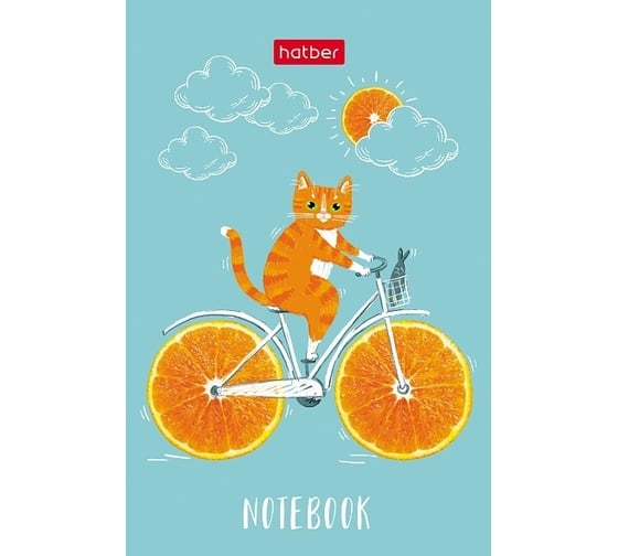 Изображение товара Блокнот Hatber Котик-апельсинка 48 л, А7, 65x100 мм, 3-х цветный блок клетка, обложка мелованная бумага, 100 шт в упаковке 083526