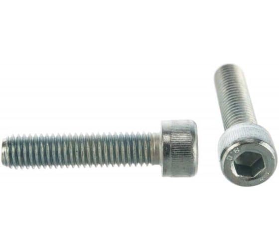 Изображение товара Винт Insparion 6x25 мм, din912, 8.8, цинк, с цилиндровой головкой, внутренним шестигранником и усиленной закалкой, 2 шт. С1-00001377