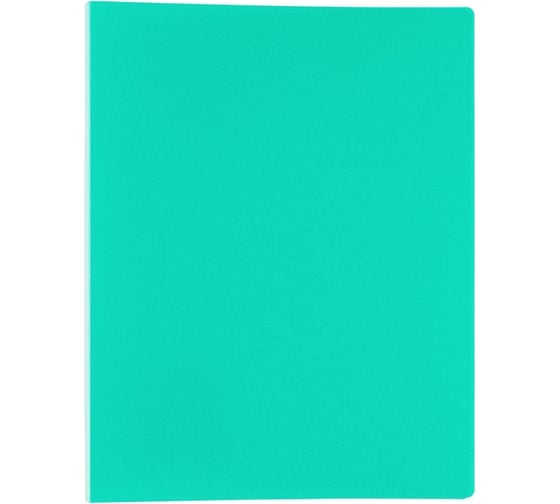 Изображение товара Папка с файлами-вкладышами Expert Complete Classic 6 шт, по 20 л, A4 40 мкм 500 мкм 15 мм песок зеленый  605720