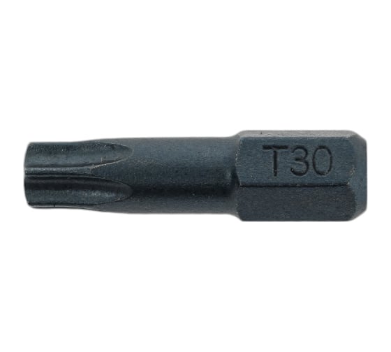 Изображение товара Биты TORX TХ30, 25 мм, 20 шт RAWLPLUG RT-BIT-TORX30/25