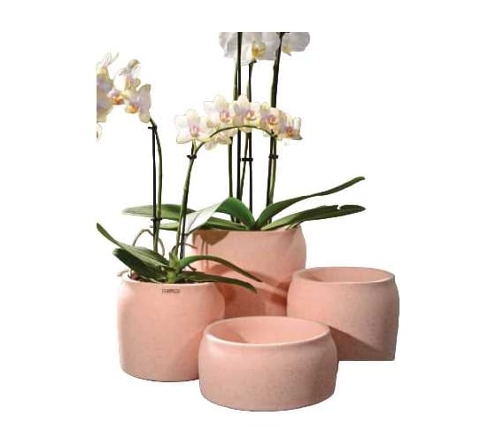 Изображение товара Кашпо SCHEURICH Kübel Potta matt, керамика, d15.5, h14 см, розовый матовый 069217