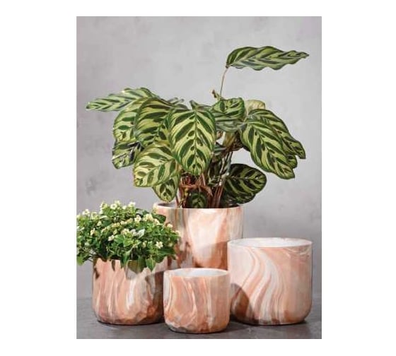 Изображение товара Кашпо SCHEURICH Kübel LINO d18, h17 см, теплый мрамор, керамика 068069