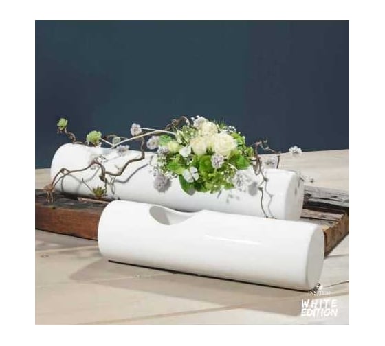 Изображение товара Кашпо SCHEURICH Schale Canna INSPIRIO керамика, d40, h8см, белый 061700