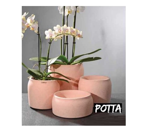 Изображение товара Кашпо SCHEURICH Schale Potta matt керамика, d19,5 h8 см, розовый матовый 069220