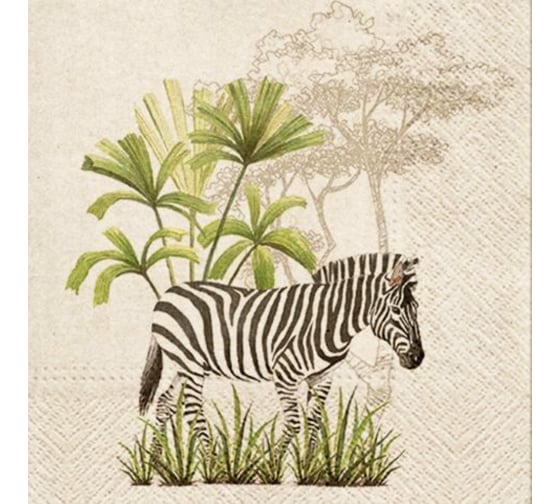 Изображение товара Бумажные салфетки EUROHOUSE Крафт Зебра, Bouquet eco-friendly 33x33 см, 2 слоя, 25 л. 57021