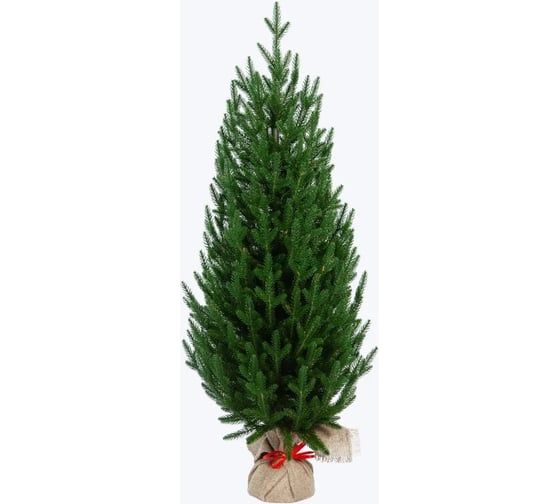 Изображение товара Искусственная новогодняя елка CRYSTAL TREES ГРАЦИЯ литье РЕ 90 см KP28090