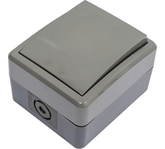 Изображение товара Переключатель ЭРА 11-1403-03 IP54, 10АХ-250В, ОУ, Эксперт, серый Б0020674