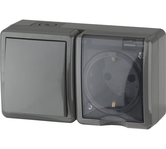 Изображение товара Блок розетка и выключатель ЭРА 11-7401-03 IP54, 16A 10AX -250В, ОУ, Эксперт, серый Б0020734