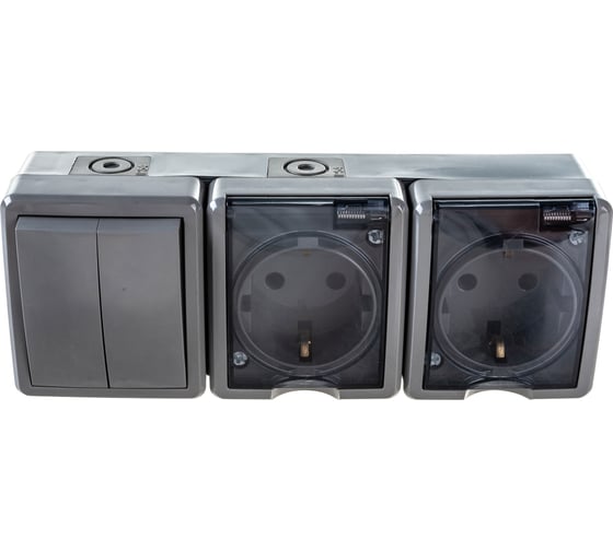 Изображение товара Блок две розетки + двойной выключатель ЭРА 11-7404-03 IP54, 16A 10AX -250В, ОУ, Эксперт серый Б0027676