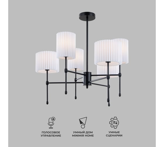 Изображение товара Потолочный светильник Eurosvet 60162/6 черный a065662