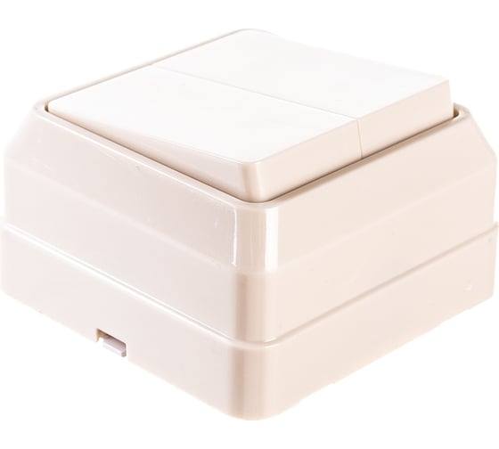 Изображение товара Выключатель GENERICA ОКТАВА 2кл 10А нар. кремовый EVO20-K33-10-DC