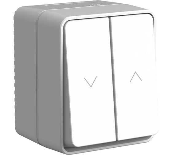 Изображение товара Выключатель 2-клавишный для жалюзи Systeme Electric AtlasDesign Profi IP54, 10 АХ, открытой установки, Серый ATN543019