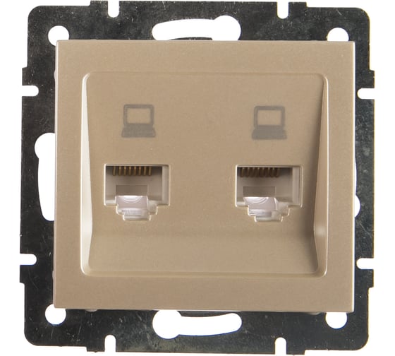 Изображение товара Двойная компьютерная розетка LEZARD RAIN жемчужно-белый перламутр 703-3088-141