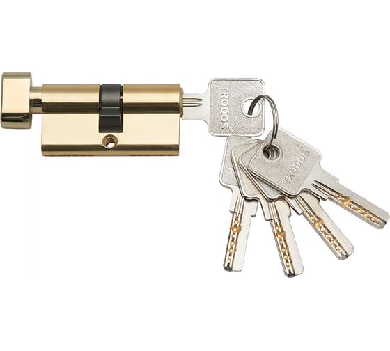 Изображение товара Цилиндровый механизм Trodos цмвп 100(50/50), сплав ЦАМ, 5 ключей, золото 208237
