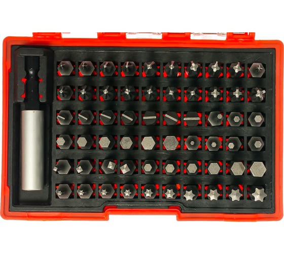 Изображение товара Набор бит 61 шт (PH, PZ, SL, T(TX), HEX, SQ(R)) Gigant G-11333