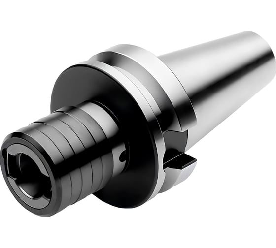 Изображение товара Патрон резьбонарезной с осевой компенсацией 250.100.tcl31, BT50 M5-M22 АКСИС 00001820375