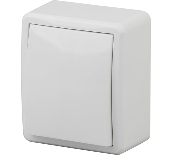 Изображение товара Выключатель ЭРА 11-1201-01, 10АХ-250В, IP20, ОУ, Эксперт, белый Б0020653