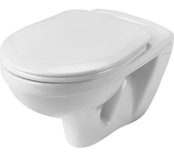 Изображение товара Унитаз Santek БОРЕАЛЬ ПЭК подвесной, с сиденьем soft close 1.WH30.2.464, 00000066529