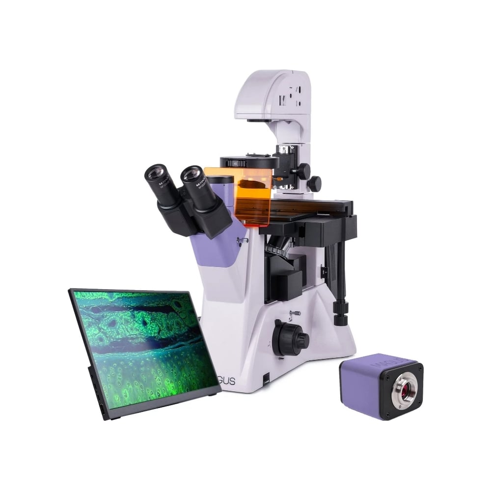 Люминесцентный инвертированный цифровой микроскоп MAGUS lum 83021