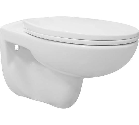 Изображение товара Подвесной безободковый унитаз Loranto с сиденьем микролифт (soft close) полипропилен 00087307
