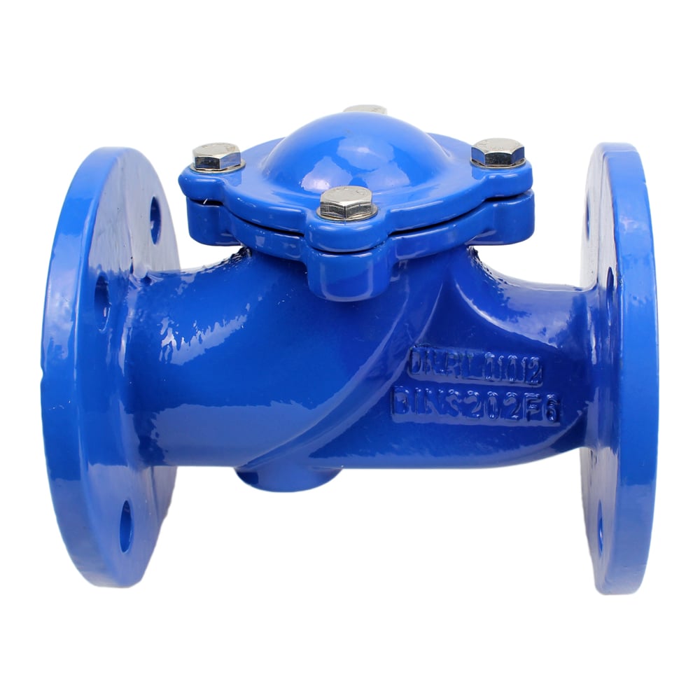 Изображение товара Клапан обратный шаровой DN.ru GGG50-GGG50-БНК-бс Ду50 фланцевый чугунный