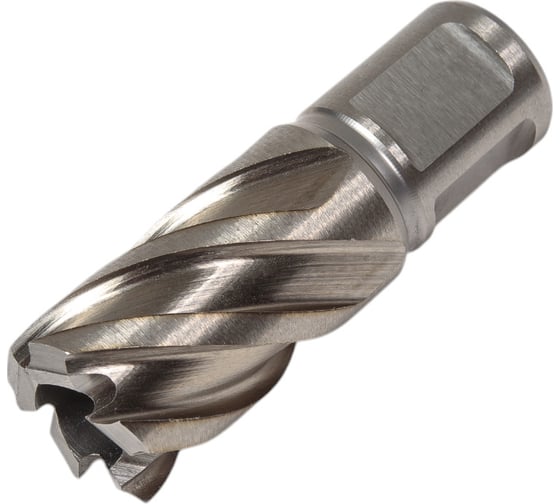 Изображение товара Сверло по металлу корончатое Weldon 19 мм HSS-Co (21х30х55 мм) D.BOR 474210102D