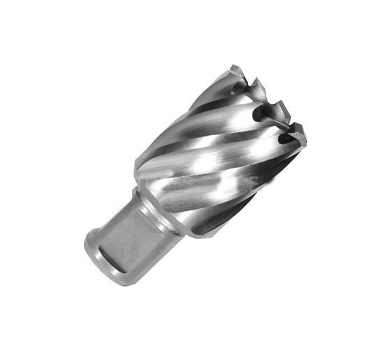 Изображение товара Сверло по металлу корончатое Weldon 19 мм HSS-Co (17х30х55 мм) D.BOR 474170102D