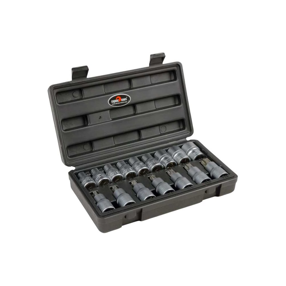 Изображение товара Набор головок TORX (16 пр; Е10-Е24; Т30-Т70) СЕРВИС КЛЮЧ 76650