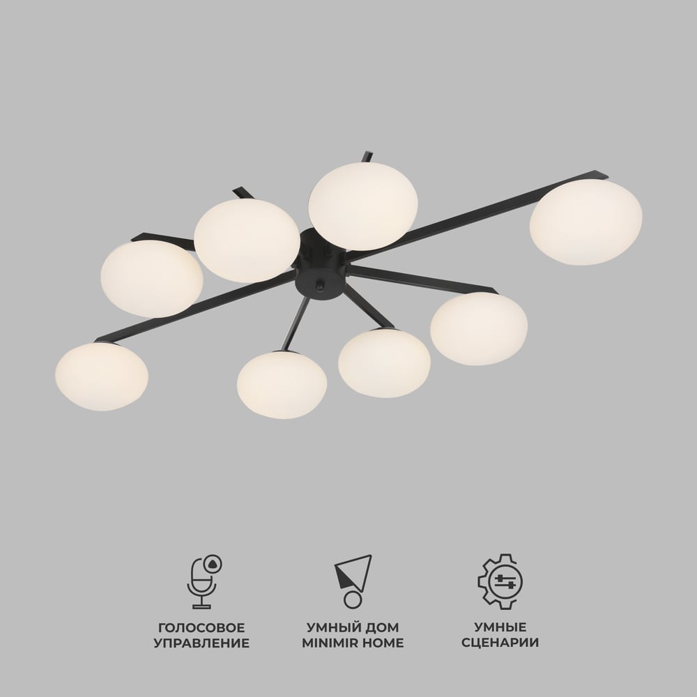 Изображение товара Потолочный светильник Eurosvet 70220/8 черный для стильных интерьеров