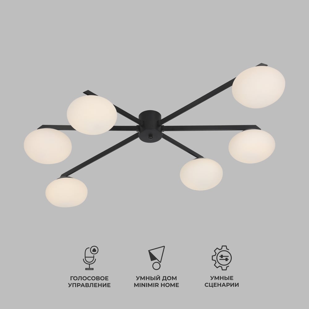 Изображение товара Потолочный светильник Eurosvet 70220/6 черный с 6 светодиодными лампами G9