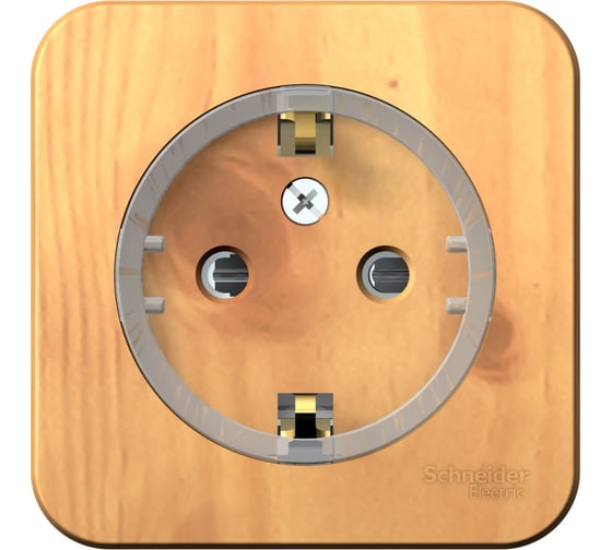 Изображение товара Розетка Systeme Electric Blanca о/у без пласт. ясень с/з со шт., (тонкая), 16а BLNRA111115