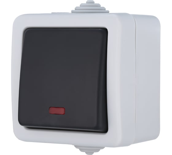 Изображение товара Одноклавишный переключатель LK Studio, схема 6L, с 2-х мест, с подсветкой, IP54, 10А/250V 80005