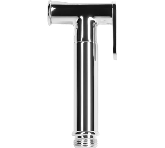 Изображение товара Гигиеническая лейка латунь IDDIS 020SB0Gi20