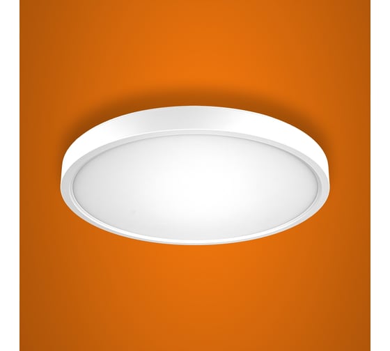 Изображение товара Настенно-потолочный светодиодный светильник iSVET 24Вт круглый накладной, управляемый PNT-101-2-4