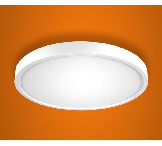 Изображение товара Настенно-потолочный светодиодный светильник iSVET круглый, 18Вт накладной, управляемый PNT-101-1-4