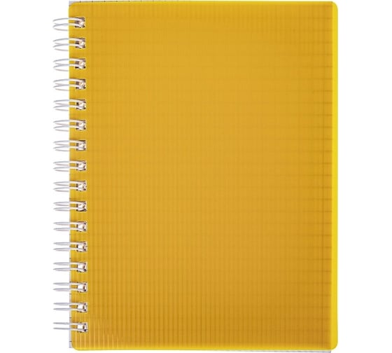 Изображение товара Записная книжка Hatber LINE NEON 80 л, А6, клетка, желтая, 100 шт. 081277