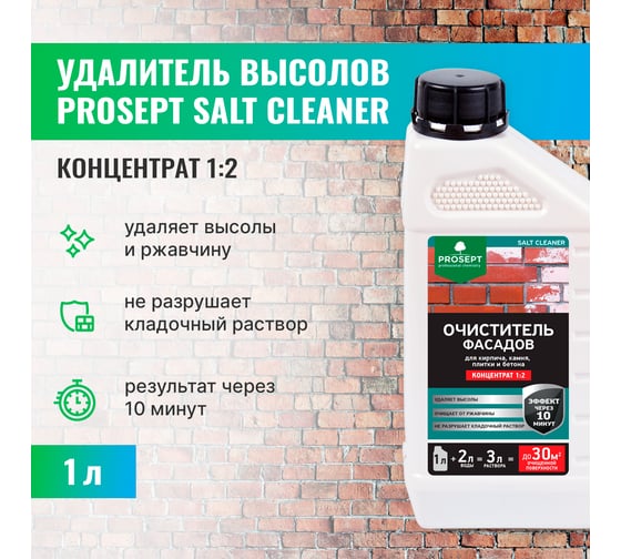Изображение товара Удалитель высолов PROSEPT SALT CLEANER 1 л, концентрат 1:2 021-1