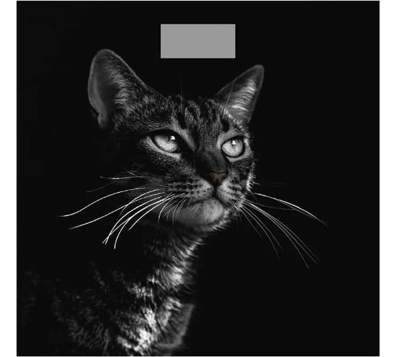 Изображение товара Весы Добрыня DO 3006С